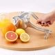 Metallic Manual Juicer